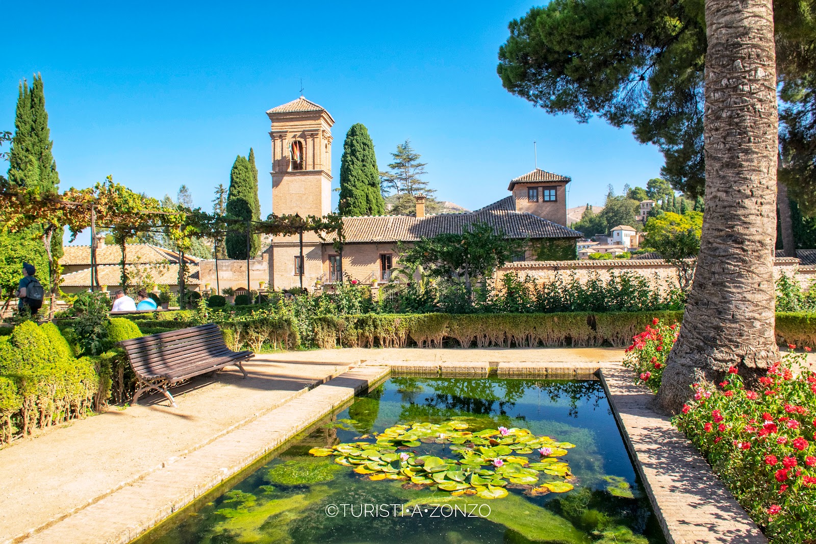 Granada in tre giorni cosa vedere